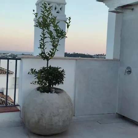 3 Bedroom Duplex Penthouse With Stunning Rooftop Solarium And See Views Apartment